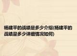 杨建平的战绩是多少介绍(杨建平的战绩是多少详细情况如何)