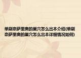单刷奈萨里奥的巢穴怎么出本介绍(单刷奈萨里奥的巢穴怎么出本详细情况如何)