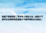 温柔干净的网名二字中年人网名大全（温柔大气两字女生昵称精选温柔大气两字昵称女生网名）