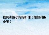 如何训练小狗狗听话（如何训练小狗）