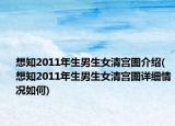 想知2011年生男生女清宫图介绍(想知2011年生男生女清宫图详细情况如何)