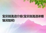 宝贝别流泪介绍(宝贝别流泪详细情况如何)