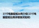 15寸电脑壁纸比例介绍(15寸电脑壁纸比例详细情况如何)
