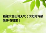福建大嵛山岛天气（大嶝岛气候条件 在哪里）