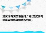 楚汉传奇演员表徐扬介绍(楚汉传奇演员表徐扬详细情况如何)
