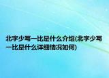 北字少写一比是什么介绍(北字少写一比是什么详细情况如何)