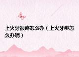 上火牙很疼怎么办（上火牙疼怎么办呢）