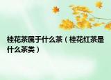 桂花茶属于什么茶（桂花红茶是什么茶类）