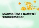 翡翠貔貅怎样挑选（翡翠貔貅如何挑选翡翠貔貅怎么选）