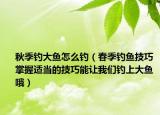 秋季钓大鱼怎么钓（春季钓鱼技巧 掌握适当的技巧能让我们钓上大鱼哦）