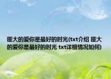 匪大的爱你是最好的时光(txt介绍 匪大的爱你是最好的时光 txt详细情况如何)