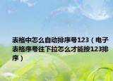 表格中怎么自动排序号123（电子表格序号往下拉怎么才能按123排序）