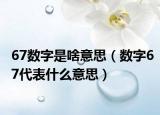 67数字是啥意思（数字67代表什么意思）