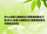 求mc龙眼儿喊麦的这2首歌曲的歌名介绍(求mc龙眼儿喊麦的这2首歌曲的歌名详细情况如何)