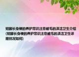 短脚长身梗的养护常识注意被毛的清洁卫生介绍(短脚长身梗的养护常识注意被毛的清洁卫生详细情况如何)