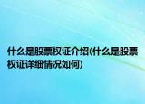 什么是股票权证介绍(什么是股票权证详细情况如何)