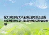 赵文卓电影赵文卓主演过的电影介绍(赵文卓电影赵文卓主演过的电影详细情况如何)
