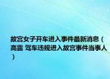 故宫女子开车进入事件最新消息（高露 驾车违规进入故宫事件当事人）