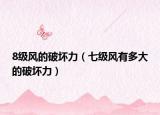 8级风的破坏力（七级风有多大的破坏力）