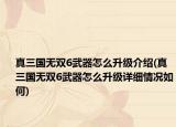 真三国无双6武器怎么升级介绍(真三国无双6武器怎么升级详细情况如何)