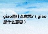 giao是什么意思?（giao是什么意思）