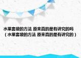 水果套袋的方法 原来真的是有讲究的吗（水果套袋的方法 原来真的是有讲究的）