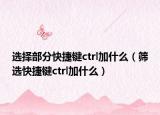 选择部分快捷键ctrl加什么（筛选快捷键ctrl加什么）