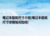 笔记本壁纸尺寸介绍(笔记本壁纸尺寸详细情况如何)