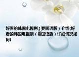 好看的韩国电视剧（要国语版）介绍(好看的韩国电视剧（要国语版）详细情况如何)