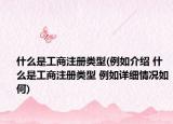 什么是工商注册类型(例如介绍 什么是工商注册类型 例如详细情况如何)