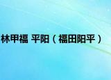林甲福 平阳（福田阳平）