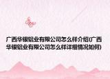 广西华银铝业有限公司怎么样介绍(广西华银铝业有限公司怎么样详细情况如何)