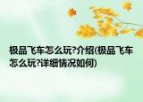 极品飞车怎么玩?介绍(极品飞车怎么玩?详细情况如何)