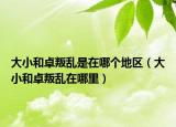 大小和卓叛乱是在哪个地区（大小和卓叛乱在哪里）