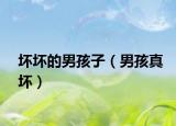 坏坏的男孩子（男孩真坏）