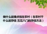 做什么能赚点钱在农村（在农村干什么能挣钱 五花八门的挣钱方法）