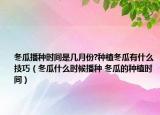 冬瓜播种时间是几月份?种植冬瓜有什么技巧（冬瓜什么时候播种 冬瓜的种植时间）