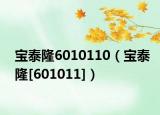 宝泰隆6010110（宝泰隆[601011]）