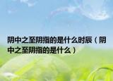 阴中之至阴指的是什么时辰（阴中之至阴指的是什么）