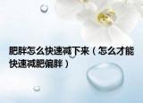 肥胖怎么快速减下来（怎么才能快速减肥偏胖）