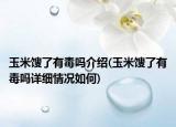 玉米馊了有毒吗介绍(玉米馊了有毒吗详细情况如何)