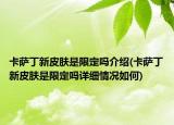 卡萨丁新皮肤是限定吗介绍(卡萨丁新皮肤是限定吗详细情况如何)