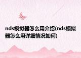 nds模拟器怎么用介绍(nds模拟器怎么用详细情况如何)