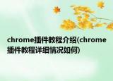 chrome插件教程介绍(chrome插件教程详细情况如何)