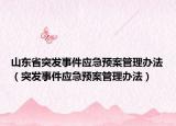 山东省突发事件应急预案管理办法（突发事件应急预案管理办法）