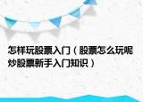 怎样玩股票入门（股票怎么玩呢 炒股票新手入门知识）