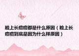 脸上长痘痘都是什么原因（脸上长痘痘到底是因为什么样原因）