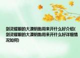 剑灵耀眼的大漠钥匙用来开什么好介绍(剑灵耀眼的大漠钥匙用来开什么好详细情况如何)