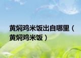黄焖鸡米饭出自哪里（黄焖鸡米饭）