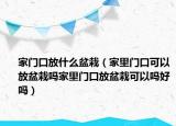 家门口放什么盆栽（家里门口可以放盆栽吗家里门口放盆栽可以吗好吗）